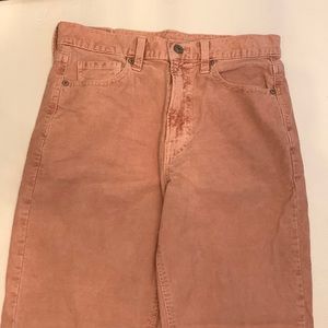 Corduroy Skinny pants, cropped, American Eagle—>TJ Maxx